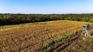 000 270th Ave, Osceola, IA 50213 - photo 2