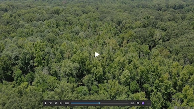 8382 Main St, Zachary, LA 70791 - photo 6