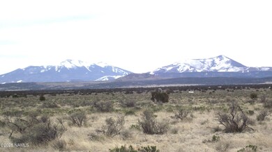 2424 E Valle Rd, Williams, AZ 86046 - photo 5