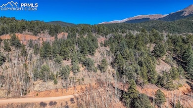741 Pikes Peak Dr, Divide, CO 80814 - photo 2