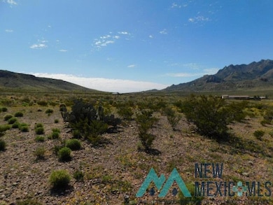 0 San Mateo Rd unit 20231657, Deming, NM 88030 - photo 4