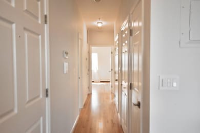 244 Bowne St unit 1st Floor, Bronx, NY 10464 - photo 7