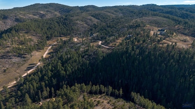 Lot 42 Golden Hills Dr, Sturgis, SD 57785 - photo 7