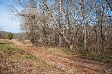 1713 Turnersburg Hwy, Statesville, NC 28625 - photo 6