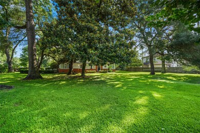 8120 Westview Dr, Houston, TX 77055 - photo 6