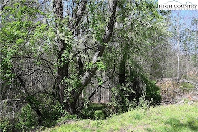 15 River Bend Hills Rd, Crumpler, NC 28617 - photo 2