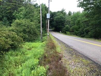 Logging Road