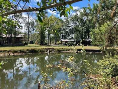 65 Mathis Rd, Lakeland, GA 31635 - photo 3