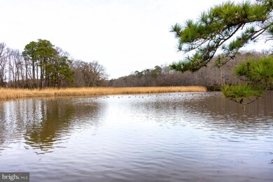 112 Carriage Ln, Queenstown, MD 21658 - photo 7