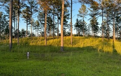 Additional View