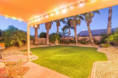 Beautiful Backyard Grass Area