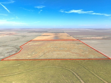 000 S Eagle St, Dighton, KS 67839 - photo 3