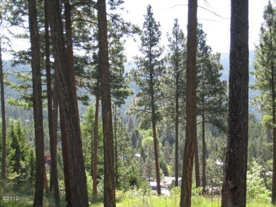 Nhn Lakeview Terrace, Bigfork, MT 59911 - photo 6