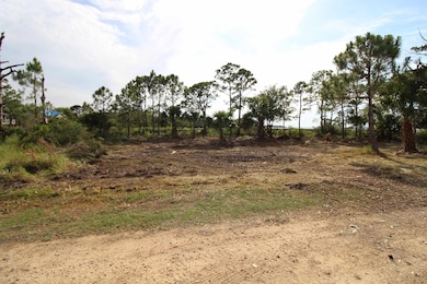 20 George Vause Rd, Alligator Point, FL 32346 - photo 5