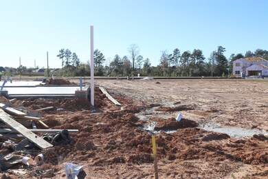 537 High Holly Cir, Magnolia, TX 77354 - photo 3