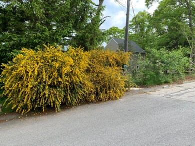 48 Pattee Rd, East Falmouth, MA 02536 - photo 3