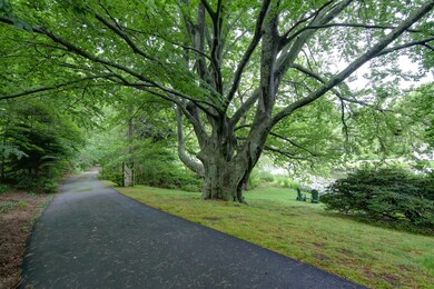 beechtree036_67Fernbrook_06072017