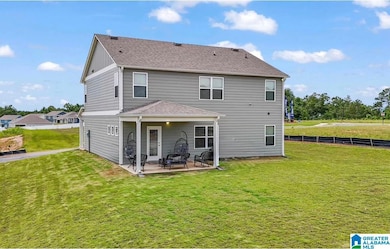 3001 Specklebelly Way, Alabaster, AL 35007 - photo 6