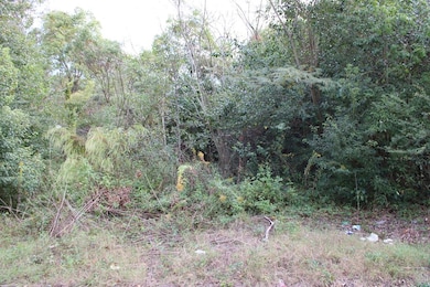 408 9th St NW, Moultrie, GA 31768 - photo 2