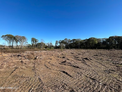 0 Warren Cook Rd, Mendenhall, MS 39114 - photo 3