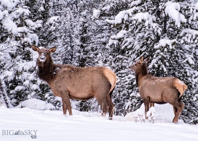 315 Four Point Rd, Big Sky, MT 59716 - photo 3
