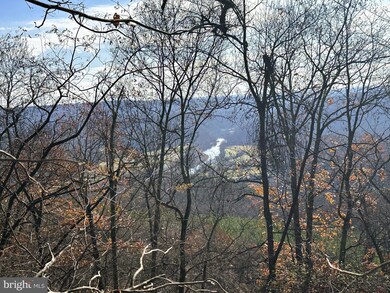0 139 Bluffs On the Potomac unit WVHS2007116, Romney, WV 26757 - photo 4