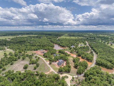 Bird's eye view of a forest