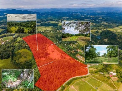 000 Turkey Creek Rd, Leicester, NC 28748 - photo 5