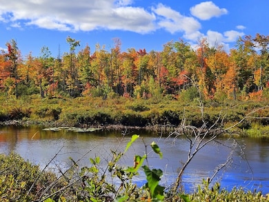 166 Franklin Rd, Jay, ME 04239 - photo 4