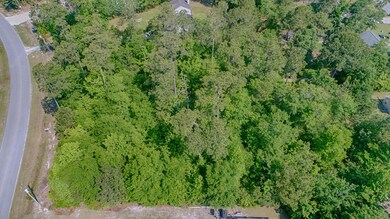 Lot 35 Atkinson Loop - 15