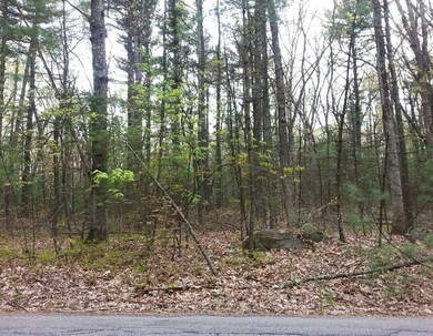 0 Rutland St, Carlisle, MA 01741 - photo 5