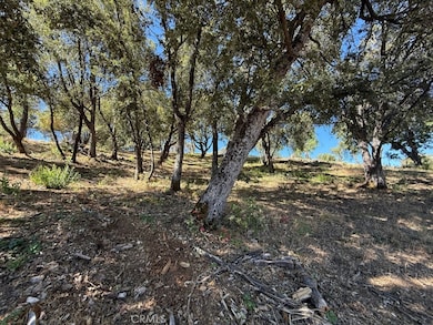 5710 Clouds Rest, Mariposa, CA 95338 - photo 5