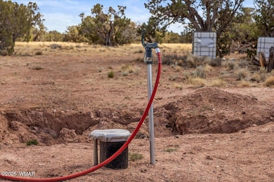 8804 Johnson Hill Trail, Snowflake, AZ 85937 - photo 2