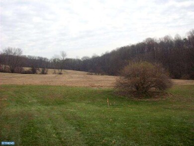 0 Dreibelbis Station Rd unit 1004178508, Lenhartsville, PA 19534 - photo 3