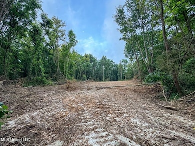 2 Old Hamburg Roxie Rd NW, Roxie, MS 39661 - photo 7