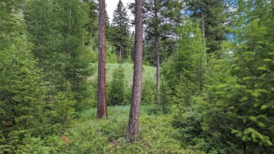 7 High Meadow Loop, Whitefish, MT 59937 - photo 2