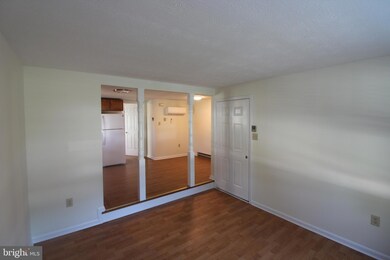 118 Piccadilly St unit 1, Edinburg, VA 22824 - photo 4