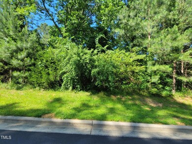 20240530_164017_resized