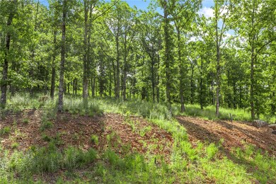 Lot 23 Restore Ridge, Harrison, AR 72601 - photo 4
