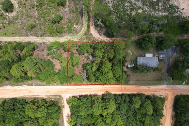 Union Avenue Interlachen unit Putnam FL, Interlachen, FL 32148 - photo 3