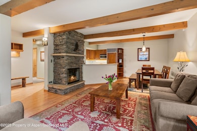 600 Carriage Way unit K9&10, Snowmass Village, CO 81615 - photo 5