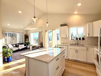 559 Rangeview Ave, Homer, AK 99603 - photo 3