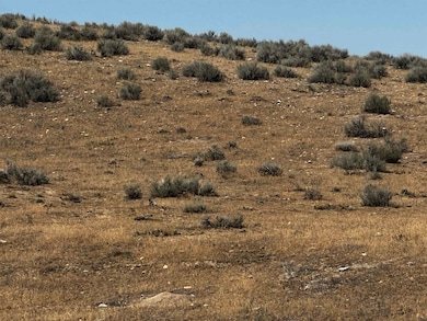 TBD Us Highway 14, Shell, WY 82441 - photo 7