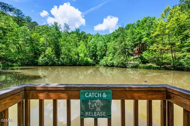 3139 Sourwood Way, Sevierville, TN 37862 - photo 6