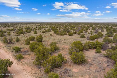 50178020f Wyandotte Rd, Williams, AZ 86046 - photo 6