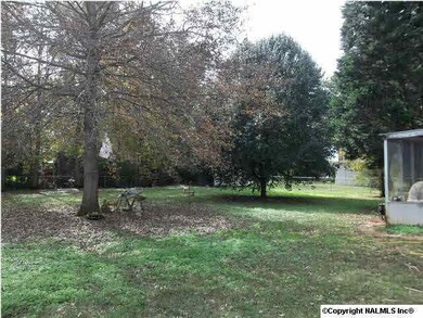 view of back yard