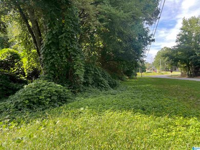 5300 Salina Ave unit 5&6, Bessemer, AL 35022 - photo 2