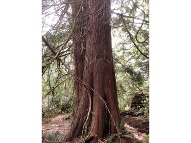 7421 N Fork Rd, Florence, OR 97439 - photo 3