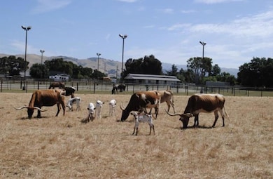 19963 Hale Ave, Morgan Hill, CA 95037 - photo 7