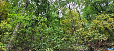 0 Barrow Ln unit 623164, Stanardsville, VA 22973 - photo 3